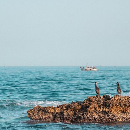 Superbe T3 Bord De Mer Sausset-les-Pins Extérieur photo