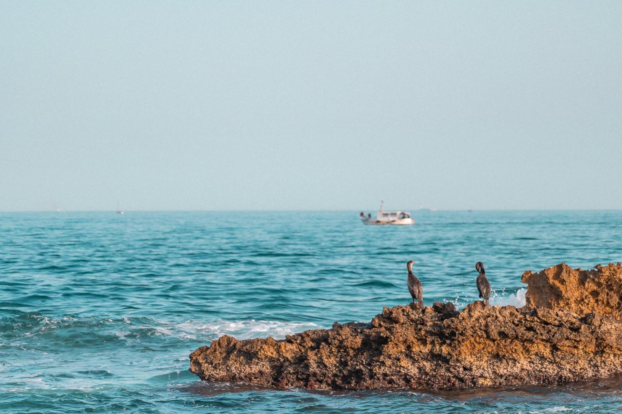 Superbe T3 Bord De Mer Sausset-les-Pins Extérieur photo